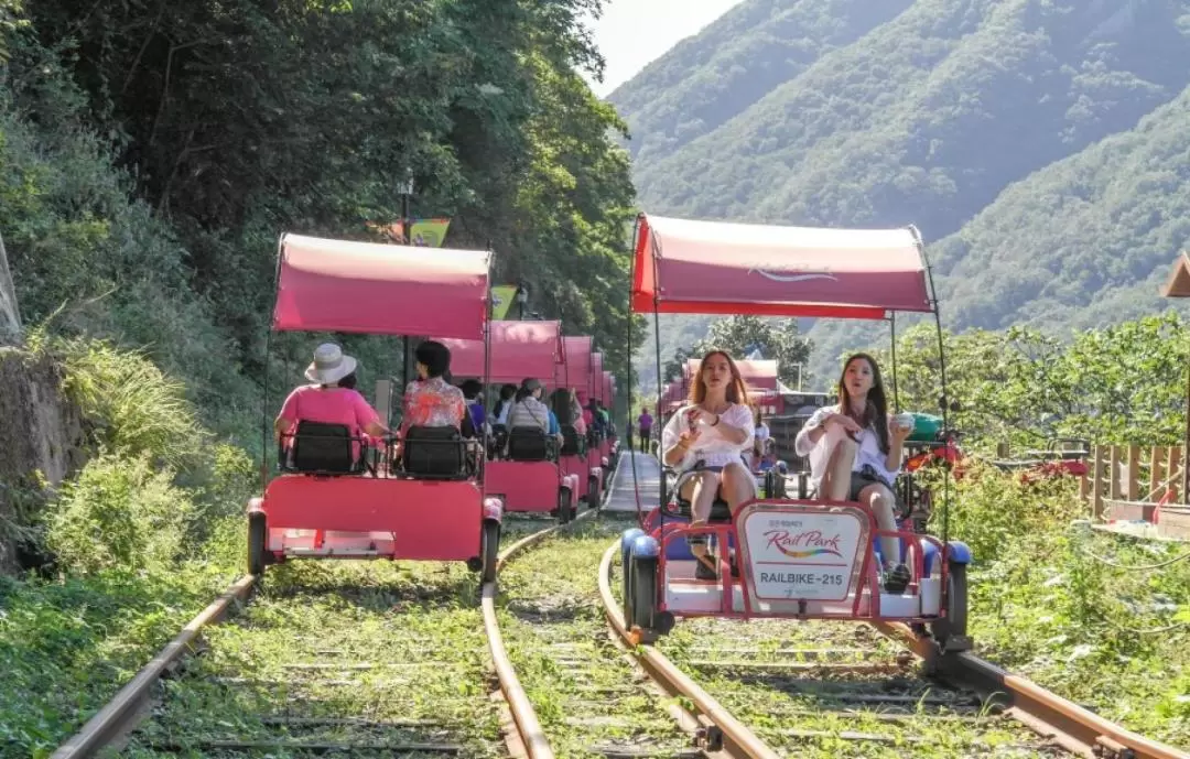 江村（金裕貞）鐵道自行車門票