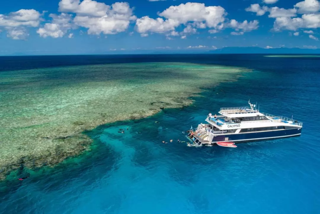 Low Isles Snorkeling Experience from Port Douglas