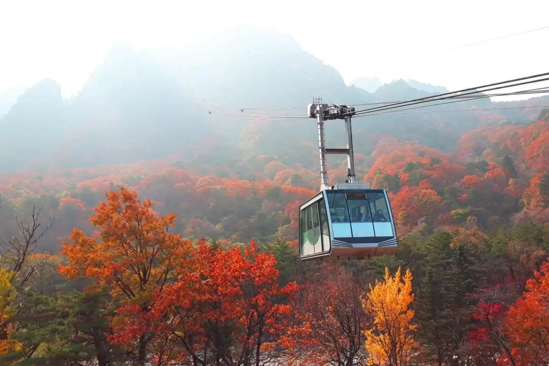 Seoraksan / Nami Island / Alpaca World / Garden of Morning Calm