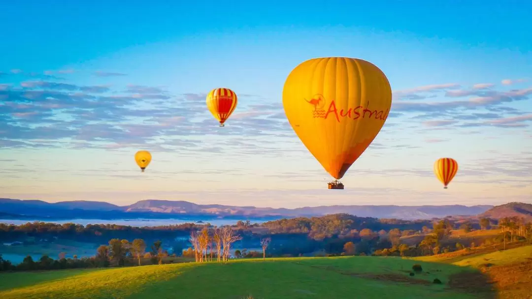 Hot Air Balloon, Meet Alpaca's and Vineyard Breakfast in Gold Coast