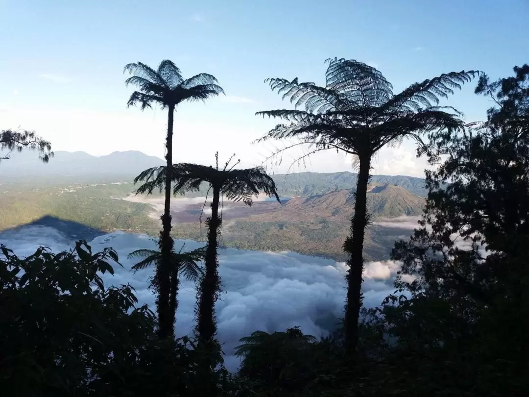 阿邦山叢林徒步之旅（私人團）