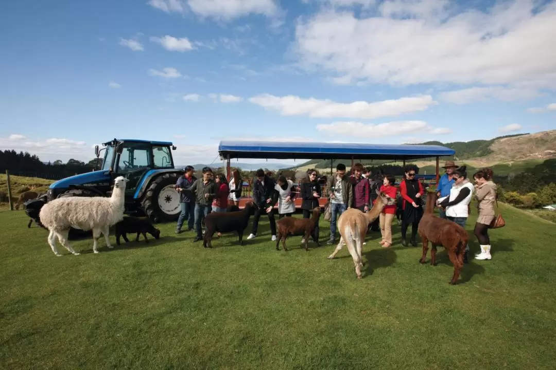 Agrodome Farm Show and Tour Ticket in Rotorua