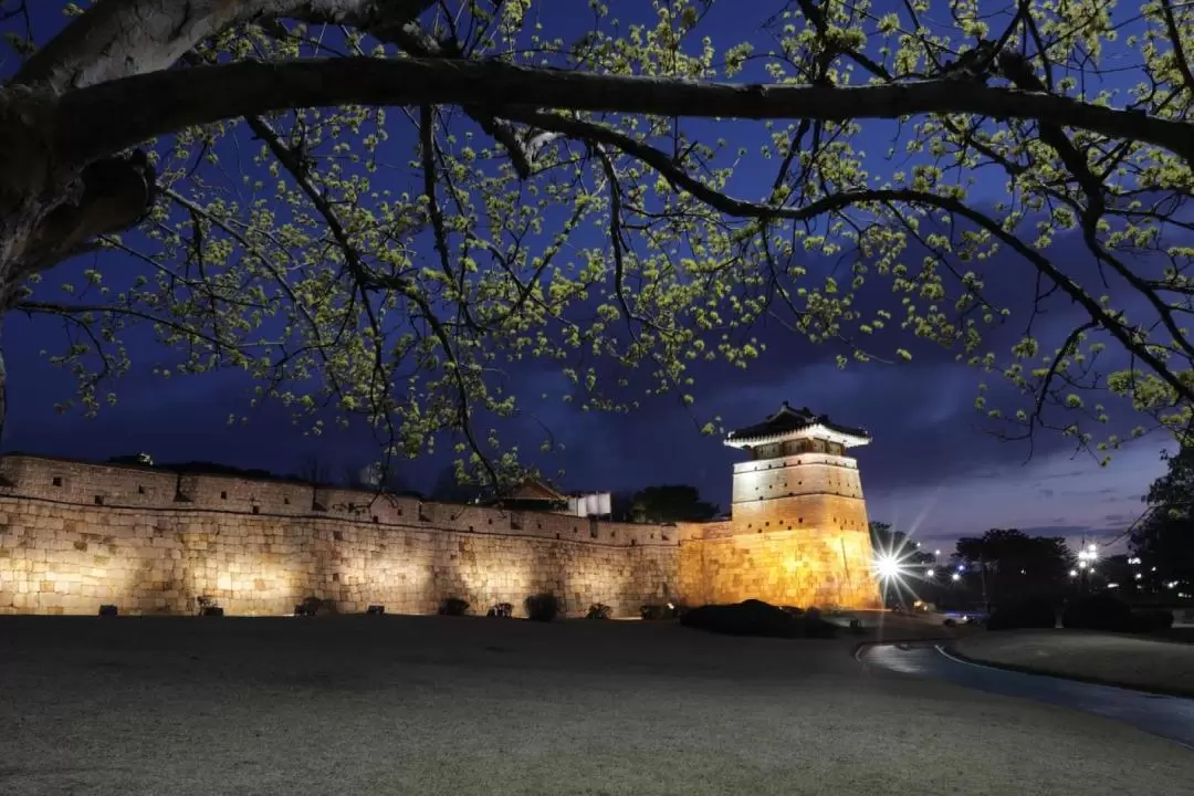 水原華城夜遊之旅（首爾出發）