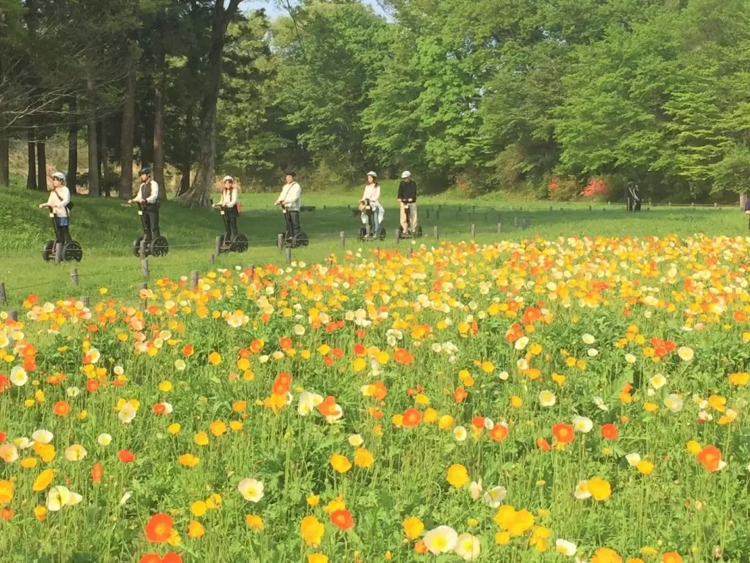 Saitama Forest Park Segway Tour in Musashi-Kyuryo National Government Park