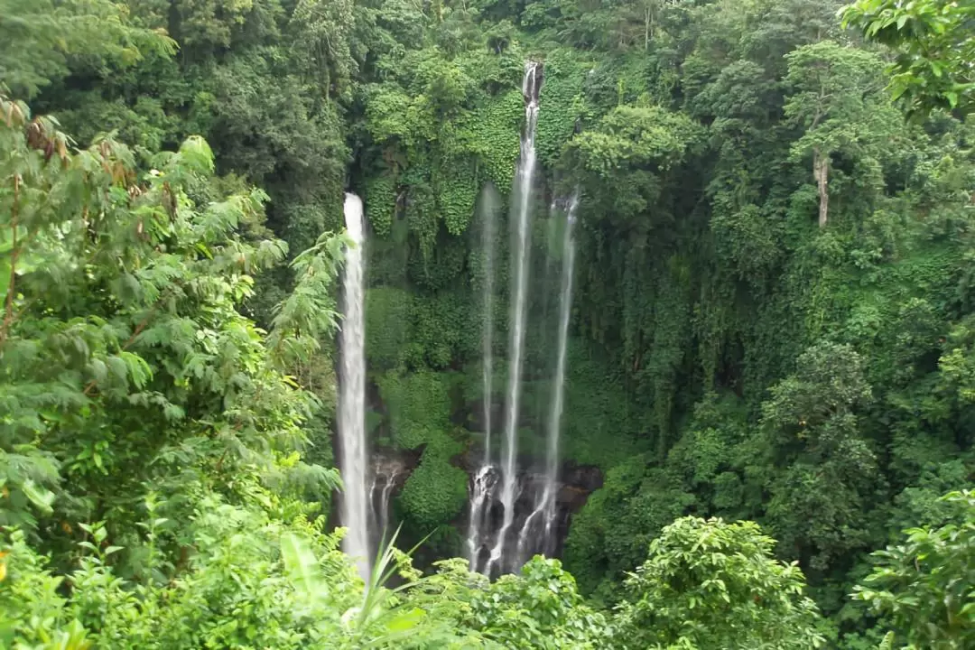 Bali Hidden Waterfalls Trip