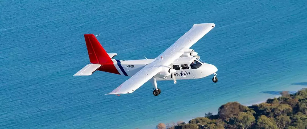 Wineglass Bay and Wildlife Aeroplane Tour from Hobart