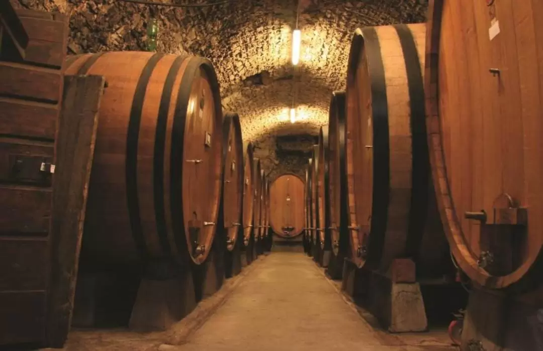 Brunello di Montalcino Small Group Wine Tour from Siena