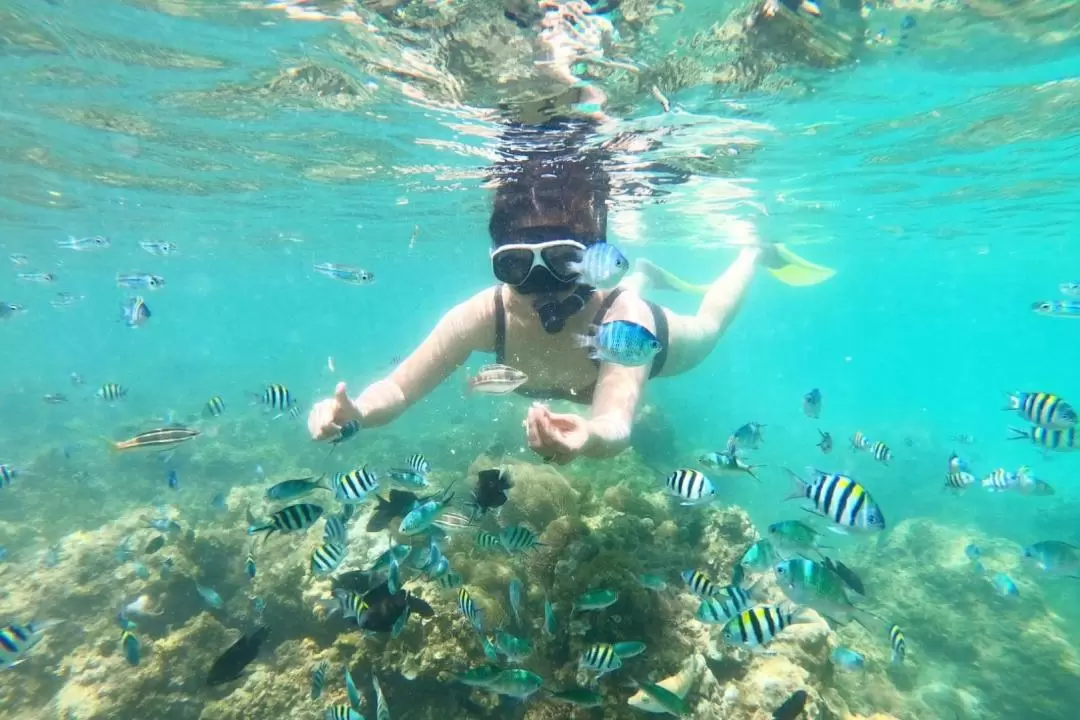 Bintan Snorkeling & White Sands Island Tour