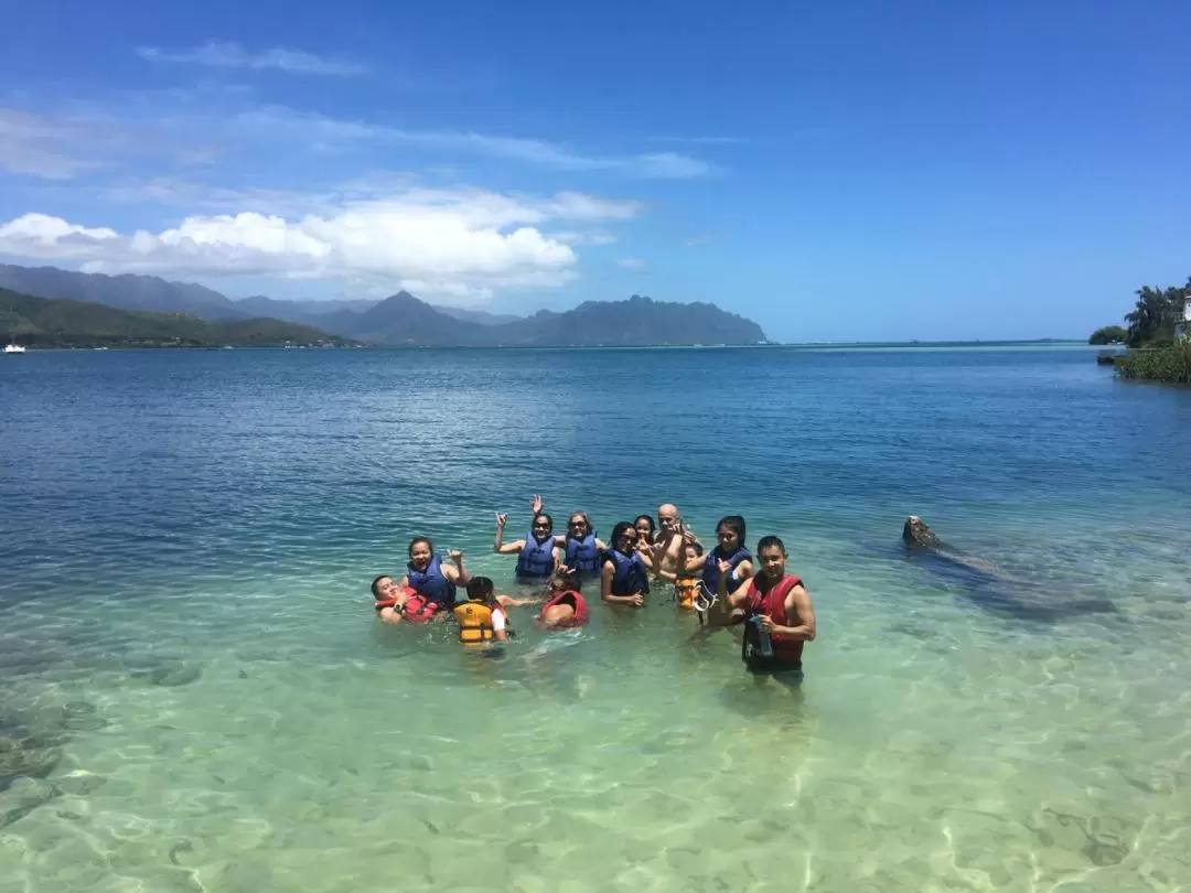 Single Kayak Rentals at Kane'ohe Bay