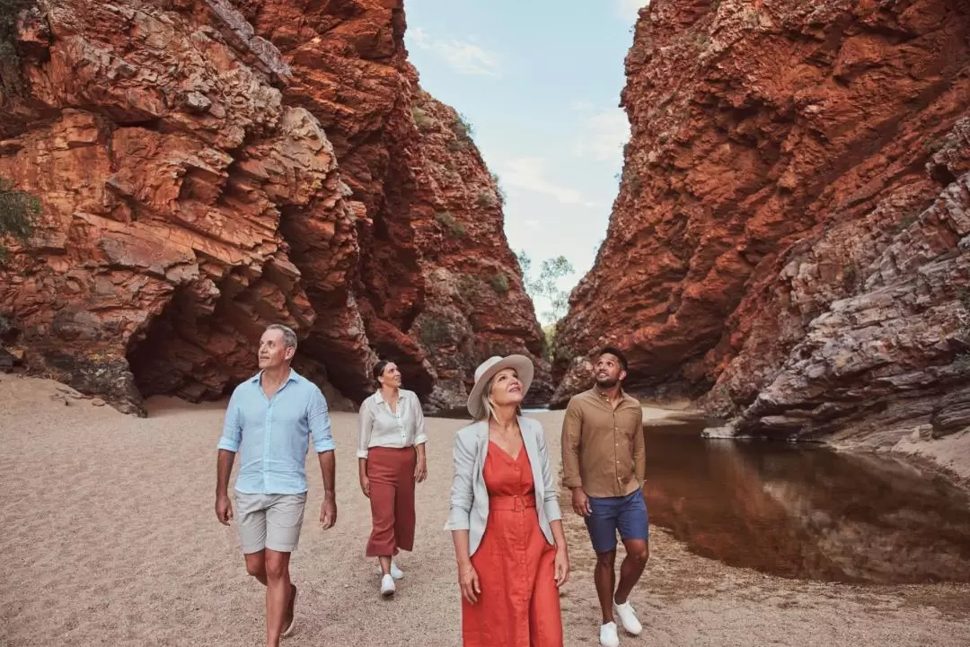 West MacDonnell Ranges & Standley Chasm Day Tour from Alice Springs