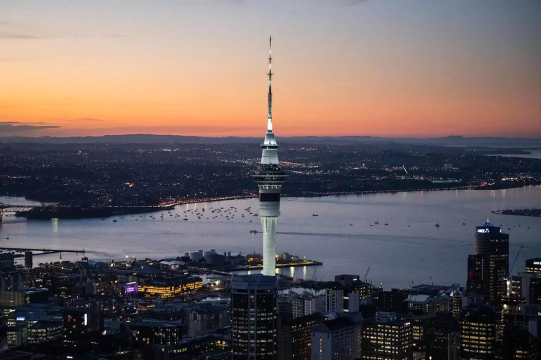 Sky Tower Auckland Ticket