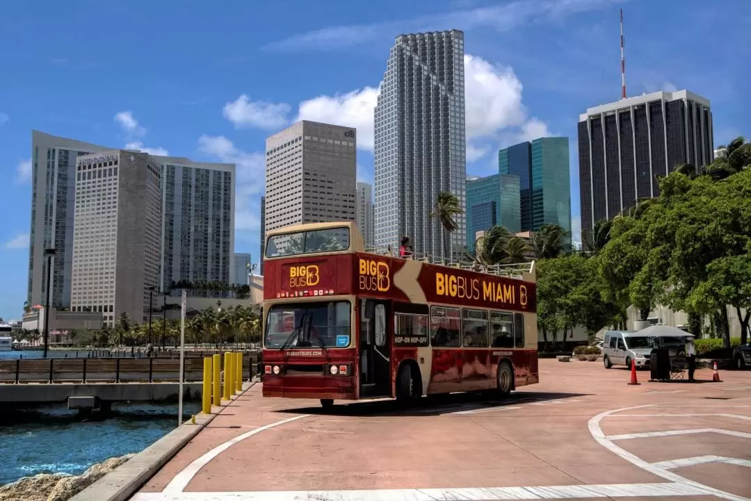 Miami Big Bus Hop-On Hop-Off Tours (Open-Top)