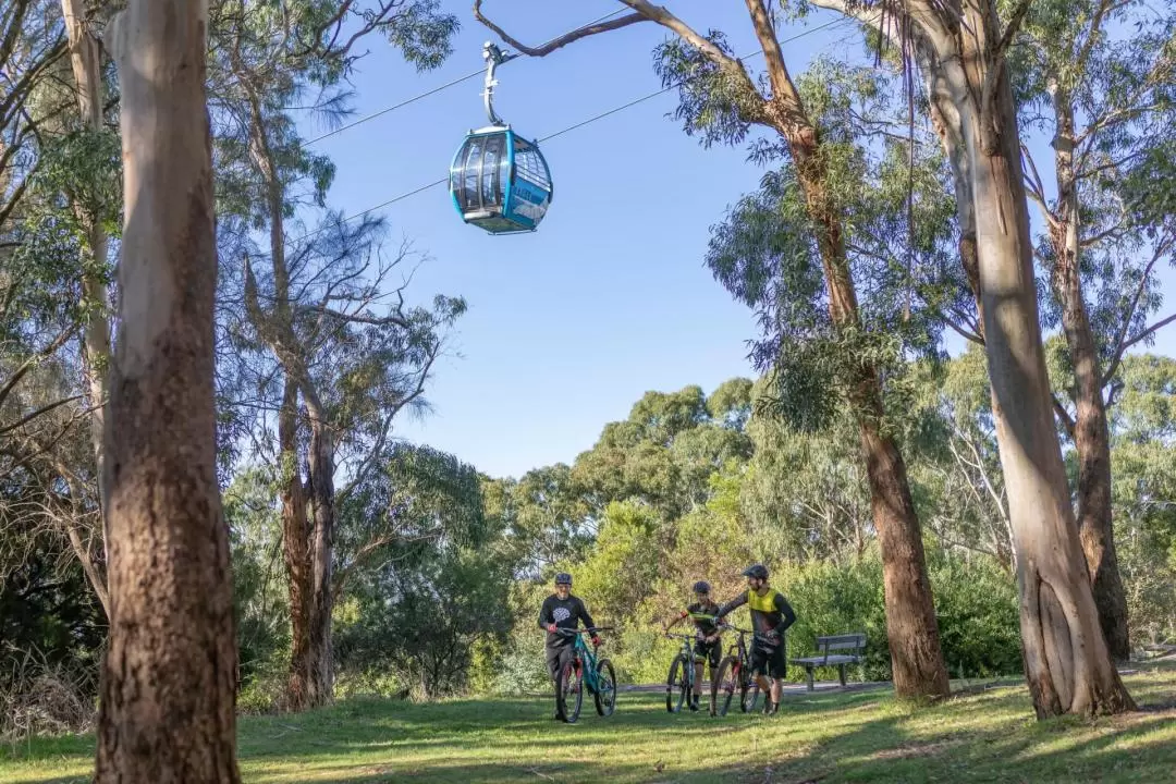 Red Hill Rail Trail Adventure Picnic! Pedal and Picnic - Half Day