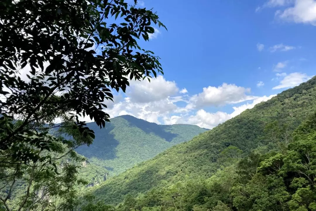 花蓮: 瓦拉米步道健行體驗