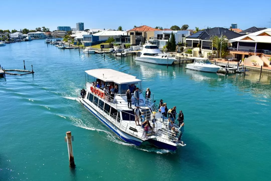 Mandurah Dolphin Cruise and Views Tour