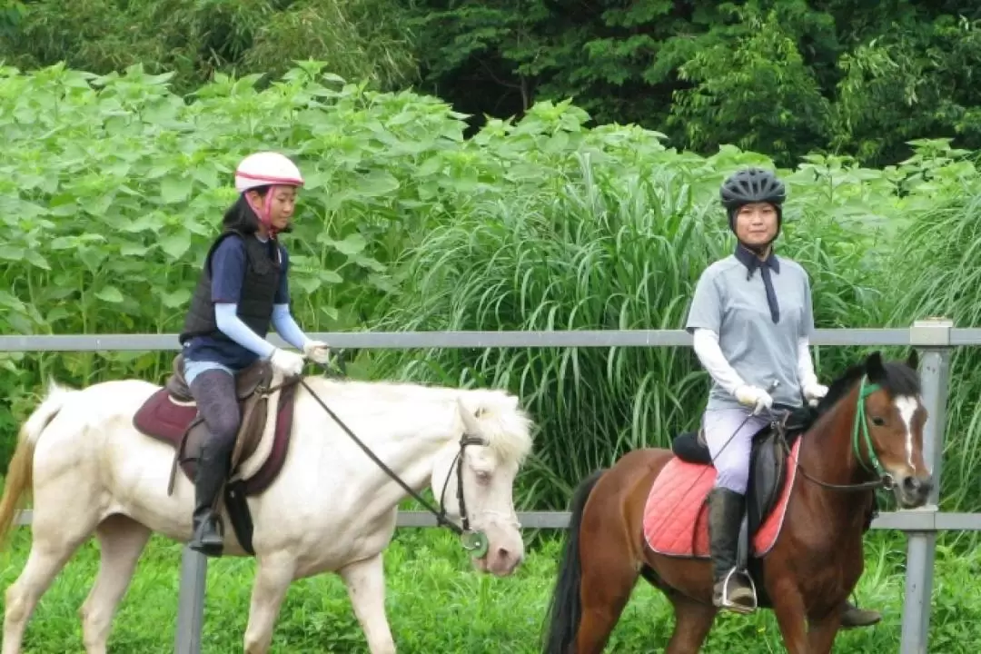 Ibaraki｜Mount Tsukuba Horseback Riding Experience
