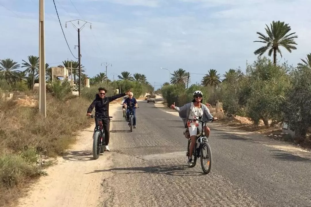 傑爾巴島 Erriadh 村 Djerbahood 露天博物館自行車之旅
