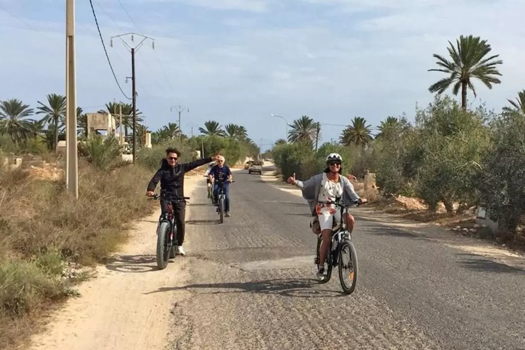 Erriadh Djerbahood Bike Tour in Djerba