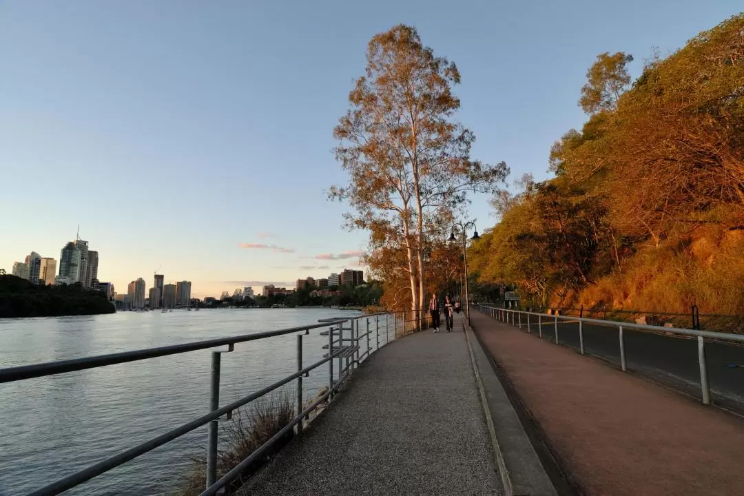 Abseil Brisbane's Kangaroo Point Cliffs 