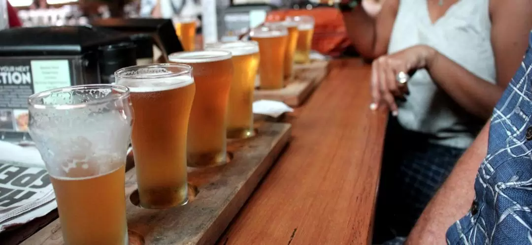 Newcastle Craft Beer and Food Matching Walking Tour