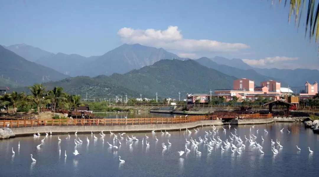 立川養魚場 ハマグリ狩り体験（花蓮）