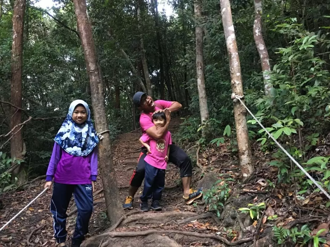 登嘉樓蝙蝠山登高體驗