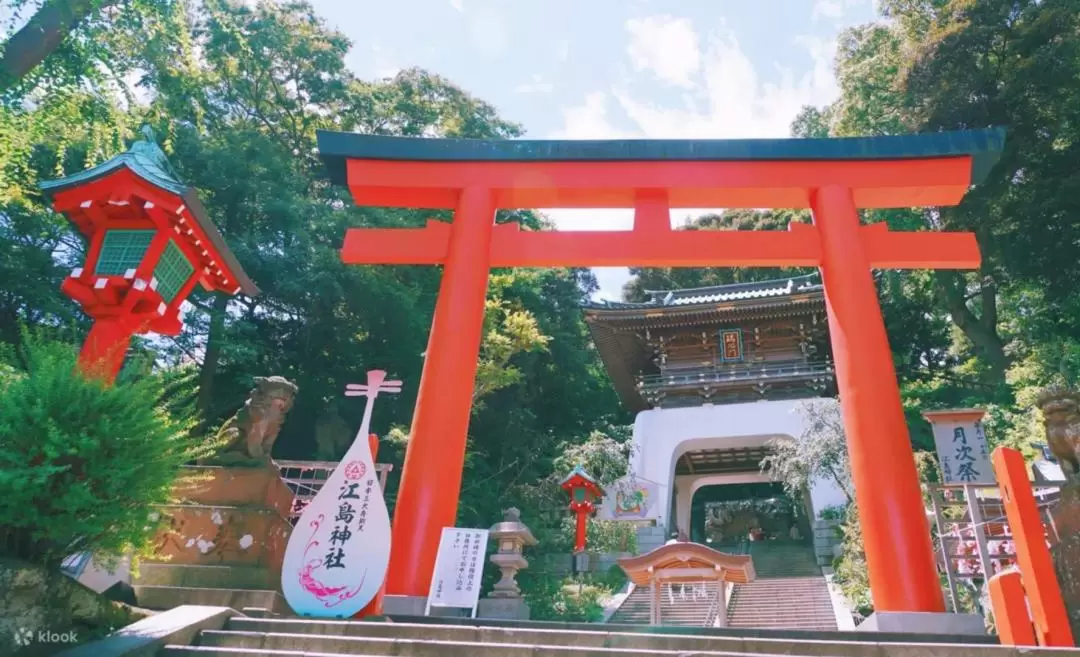 Kotoku-in Temple & Enoshima One Day Tour from Tokyo