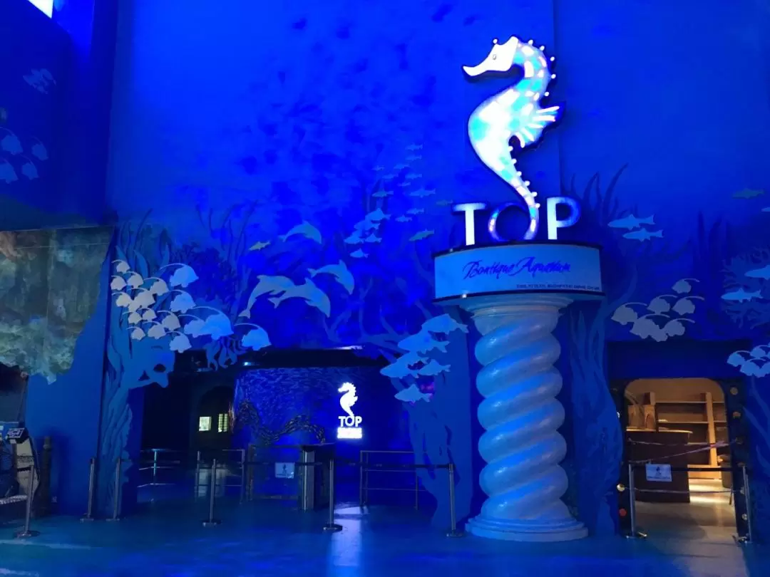 Boutique Aquarium Ticket at The TOP Penang 