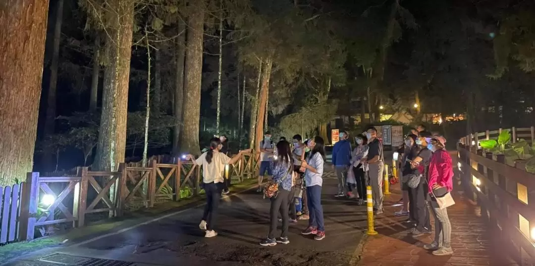 南投溪頭: 夜間生態探索體驗