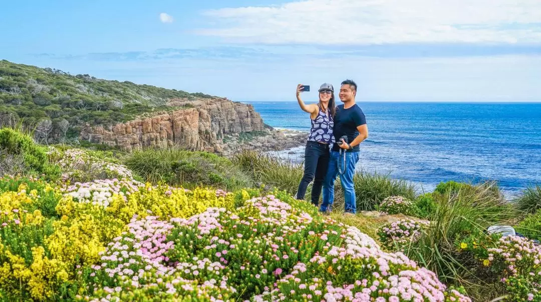 Margaret River Wine & Scenic Discovery Tour