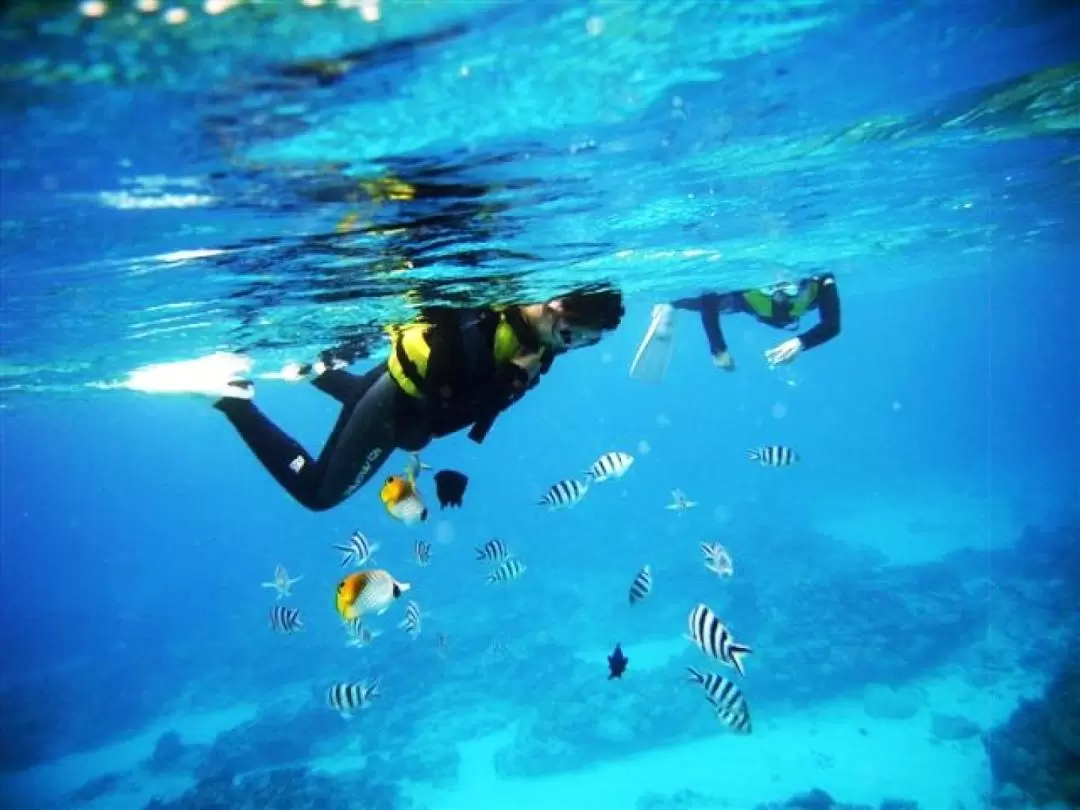 沖繩恩納村青之洞窟浮潛＆潛水體驗