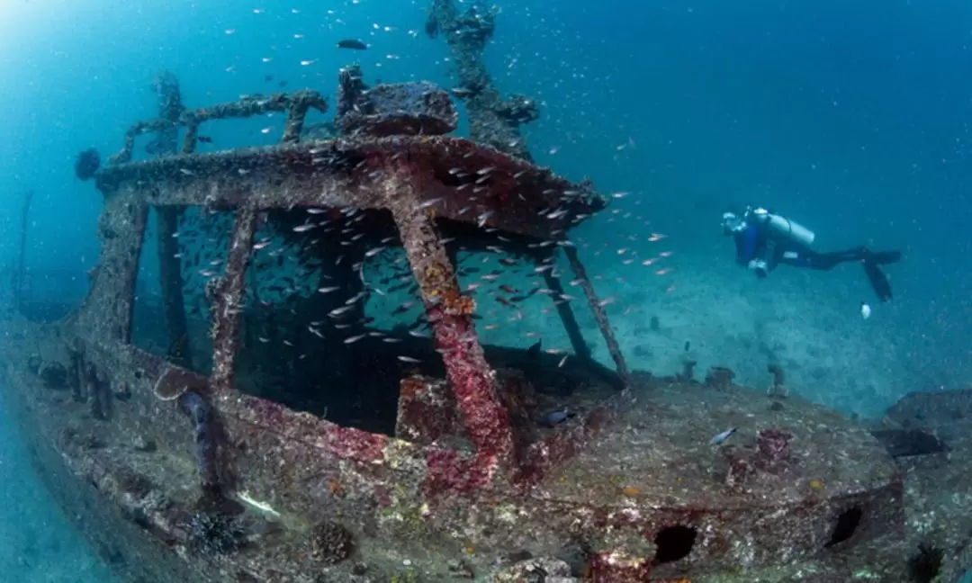 峇里島PADI開放水域＆進階開放水域潛水體驗（Bali Diving 提供）