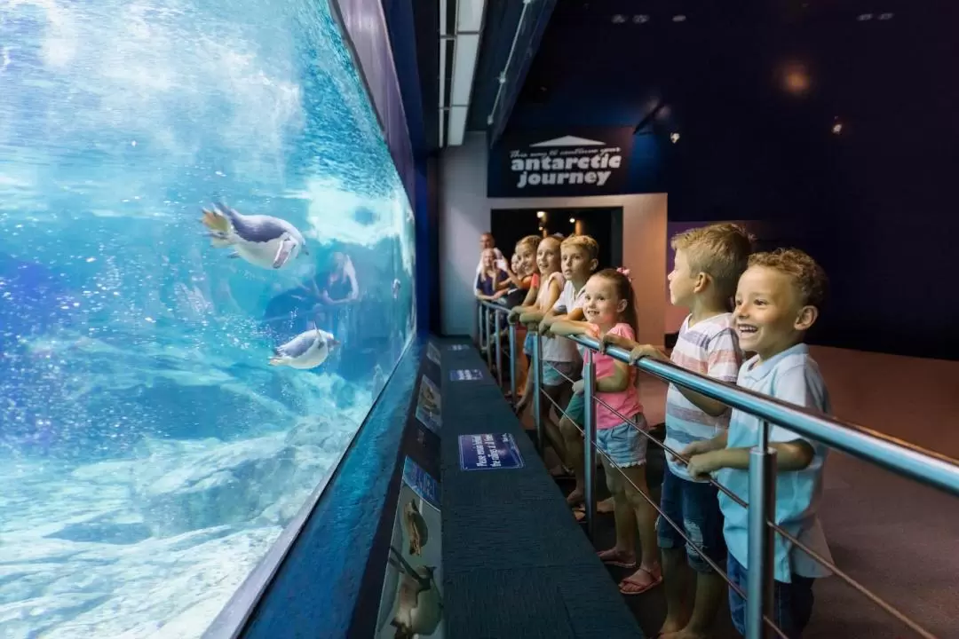 Movie World, Sea World, Wet'n'Wild Gold Coast multi-day pass