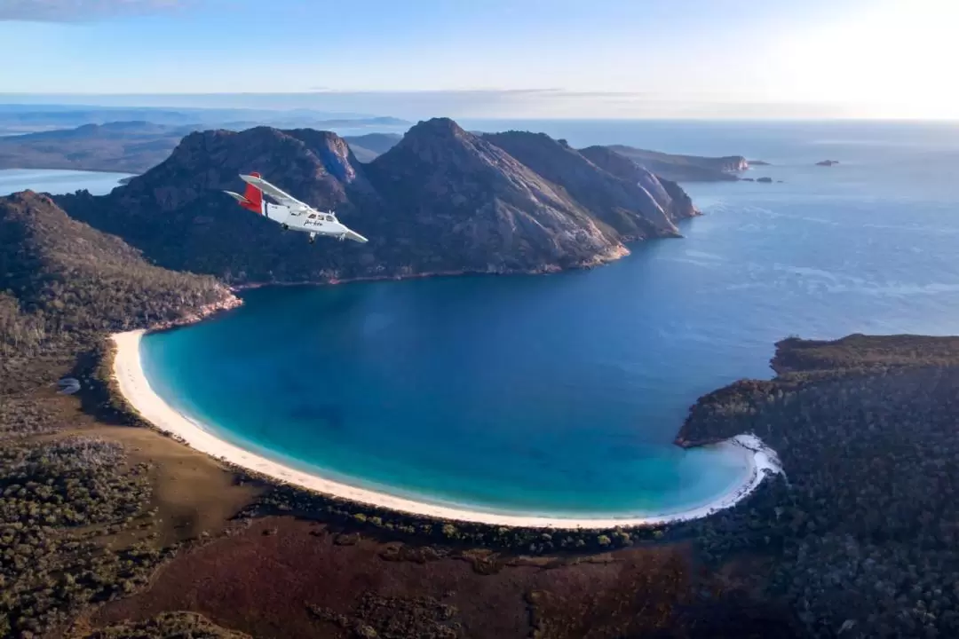 Wineglass Bay and Wildlife Aeroplane Tour from Hobart