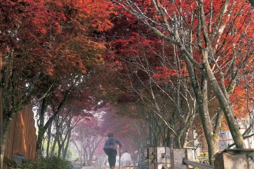 太平山 1泊2日ツアー（台北or宜蘭発）