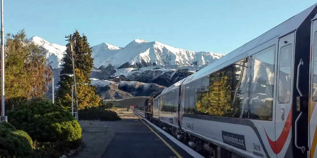 TranzAlpine Ticket between Christchurch and Greymouth