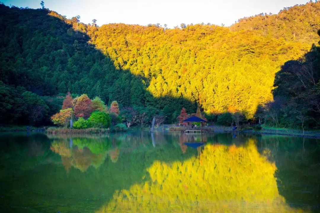 Mingchi Forest Jiuliao River Ecological Day Tour