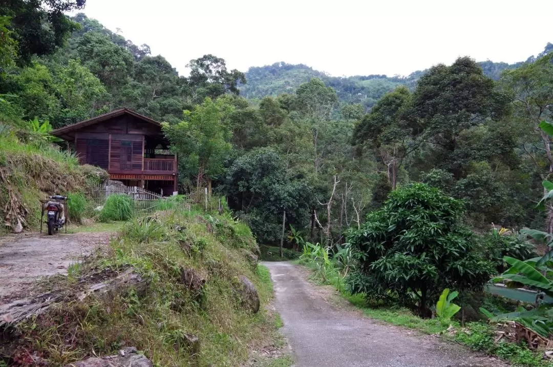 檳城登山步道＆農場美食品嚐之旅