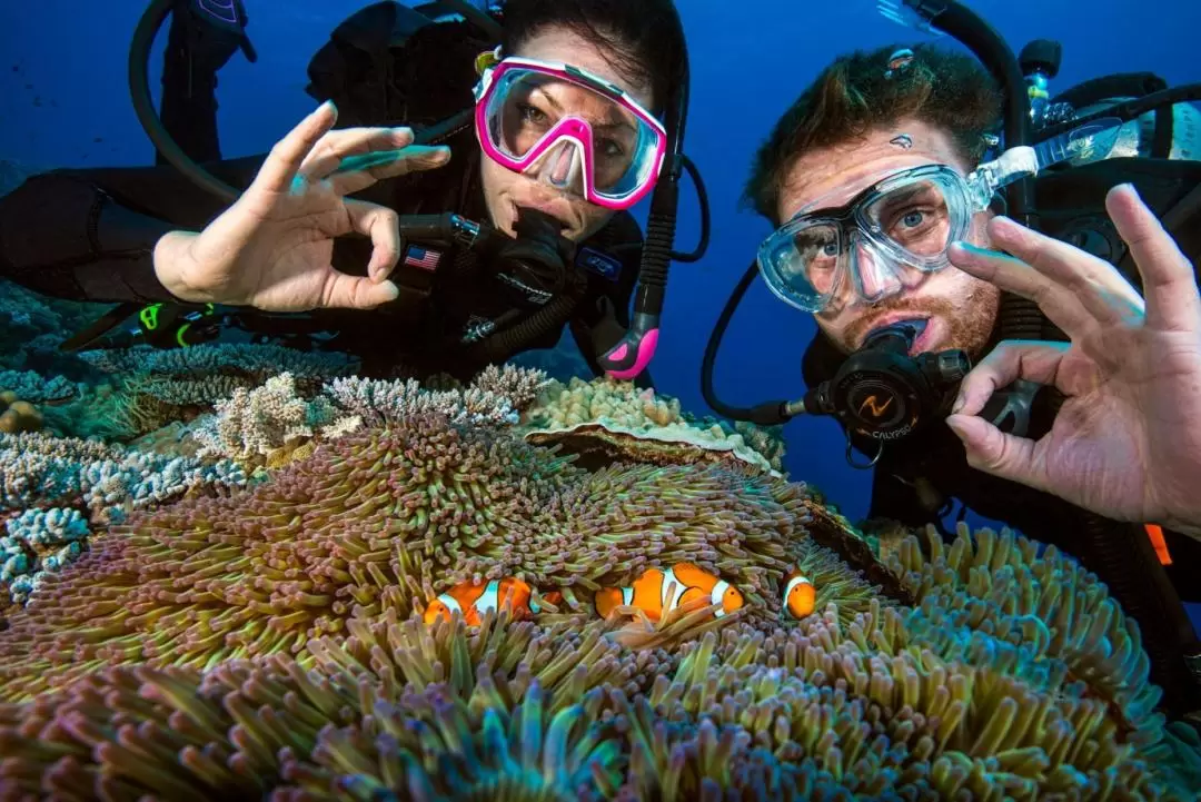 5 Day PADI Learn to Dive in Cairns