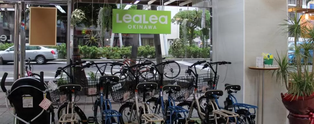 Electric-Assisted Bike Rental in Okinawa