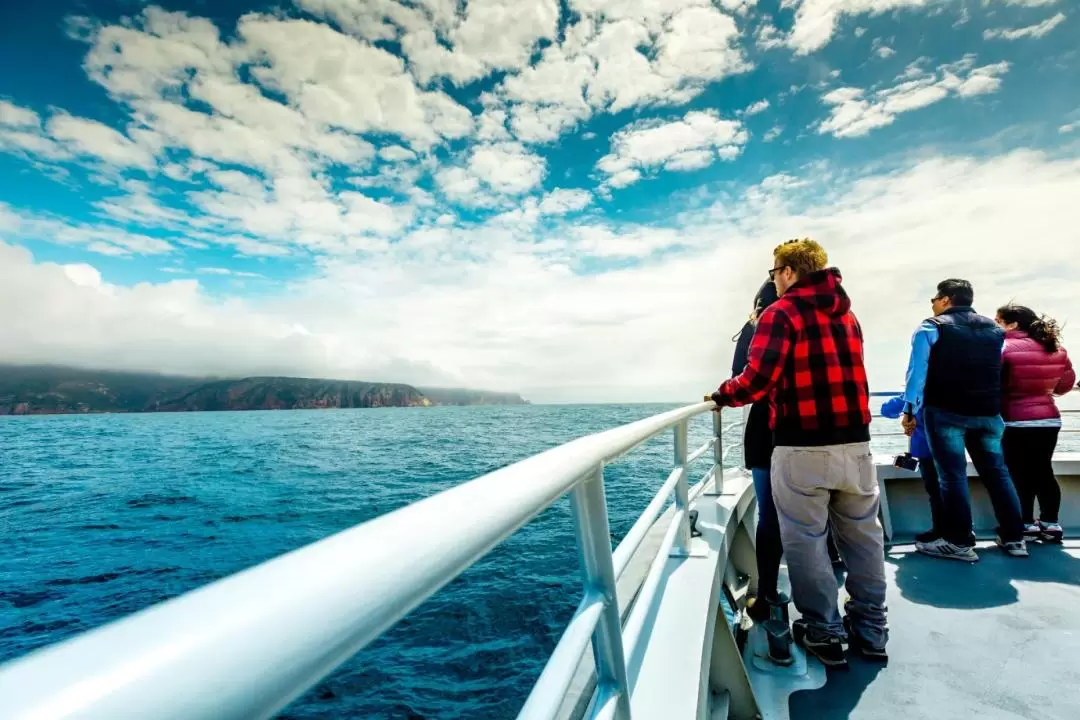 Coles Bay to Wineglass Bay Sightseeing Cruise