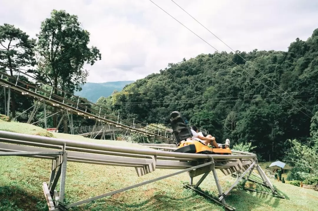 清邁叢林過山車 & 巨型鞦韆 & 叢林網床咖啡廳（Jungle De Cafe）半日遊