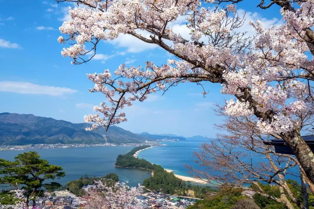 Miyama Thatched Village, Ine Bay & Amanohashidate Tour from Osaka