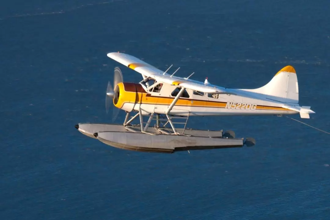 Golden Gate Bridge Seaplane Tour in San Francisco