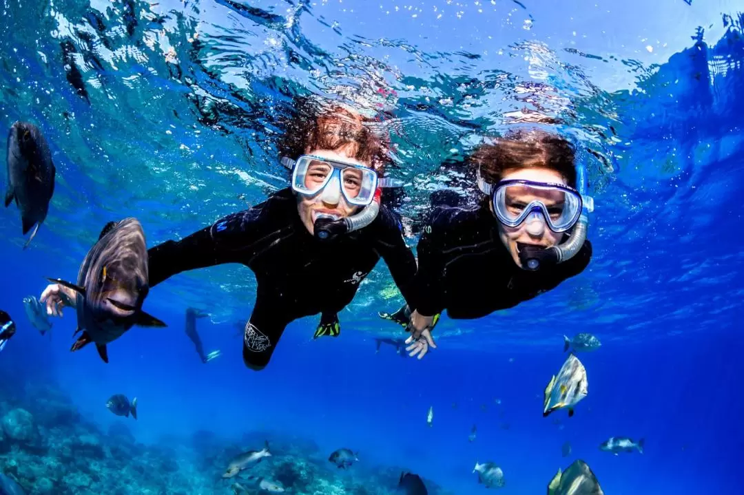 Scuba Diving on Great Barrier Reef from Cairns