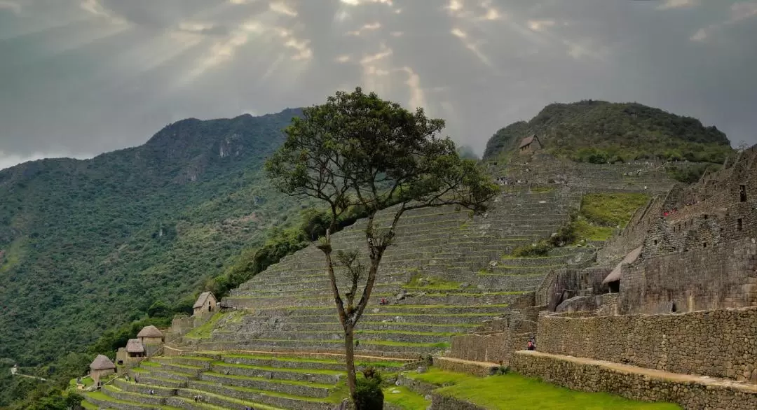 Machu Picchu Citadel Admission in Machu Picchu