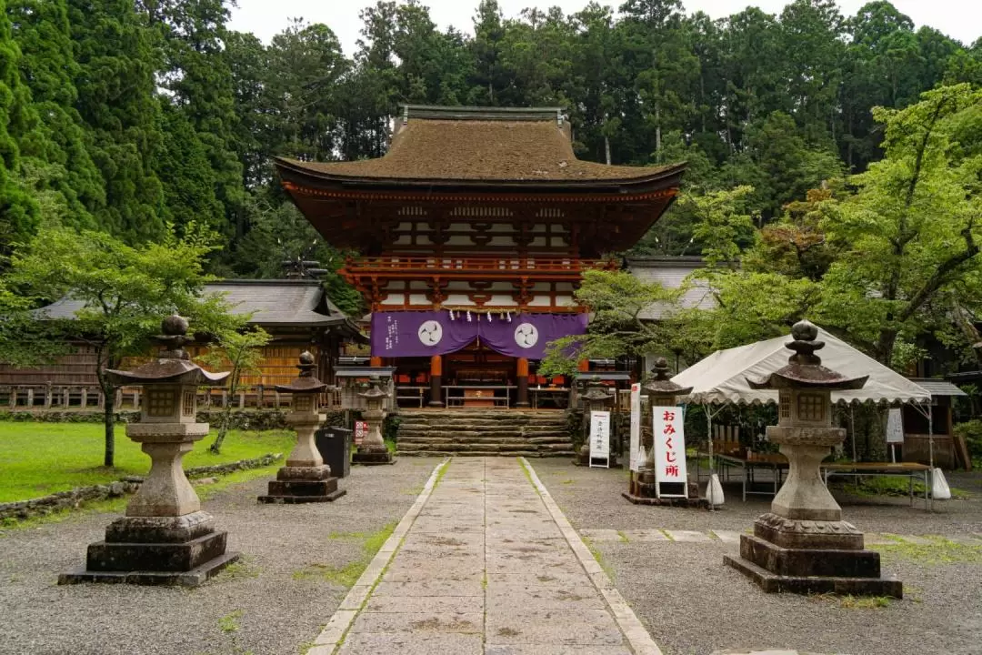 Niutsuhime Shrine & Mount Koya One Day Bus Tour from Nagoya