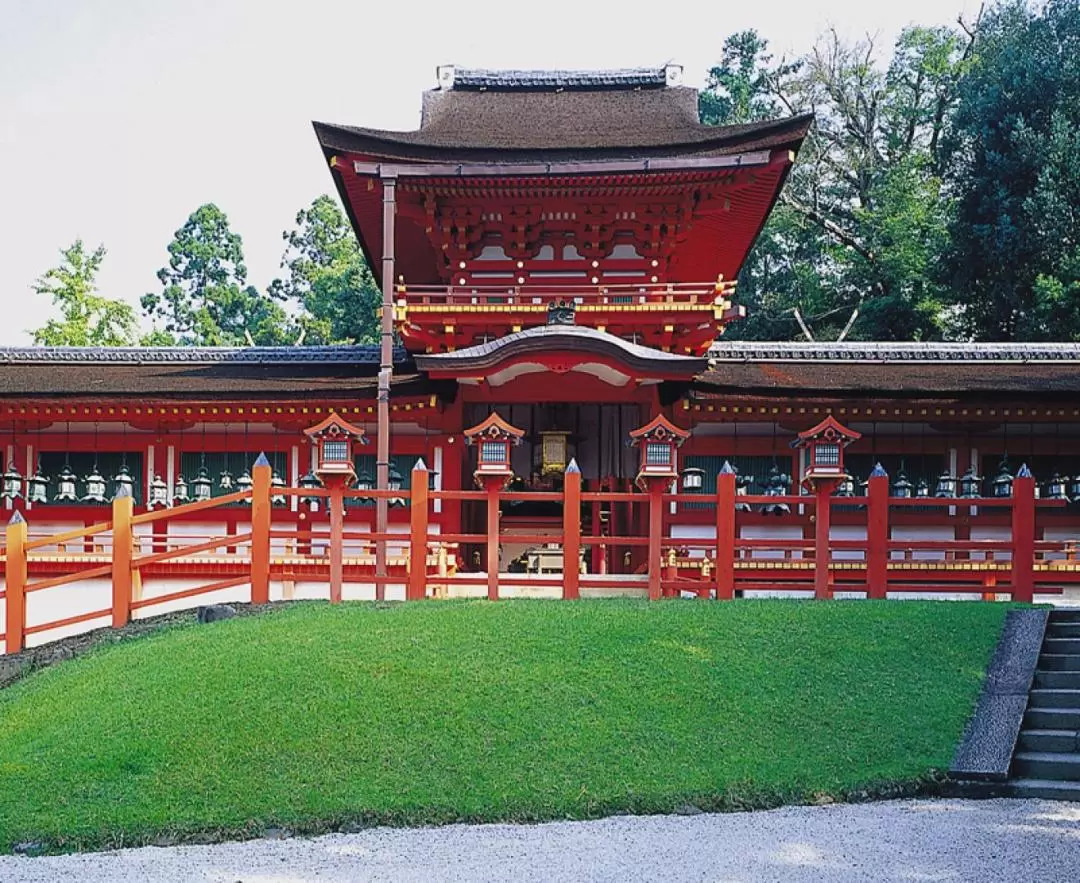 奈良市半日遊：東大寺＆春日大社＆興福寺