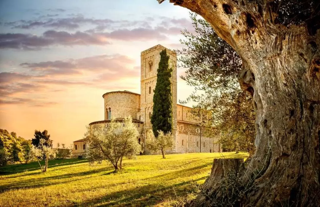 Tuscan Food and Wine Tour of Val d'Orcia from Siena