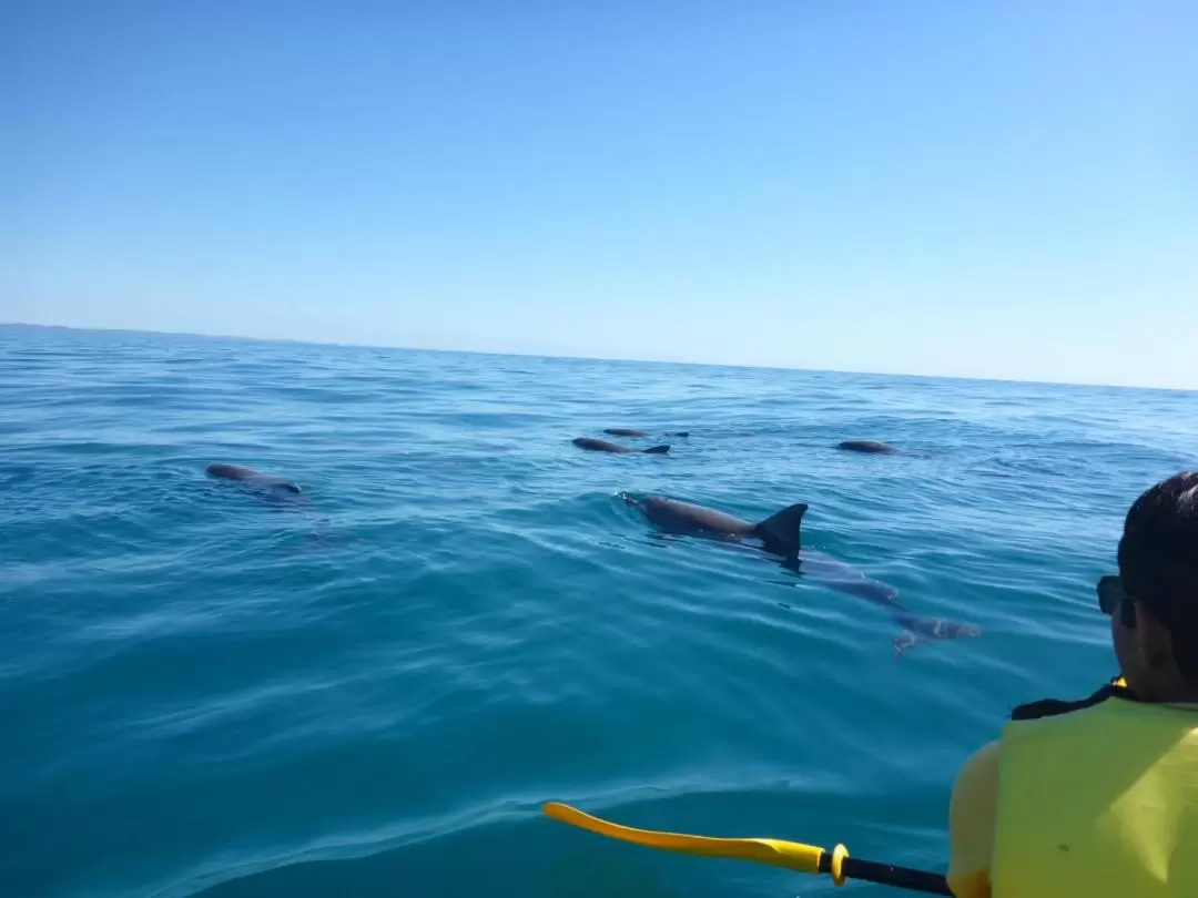 Surf Australia’s Longest Wave and Great Beach Drive Adventure